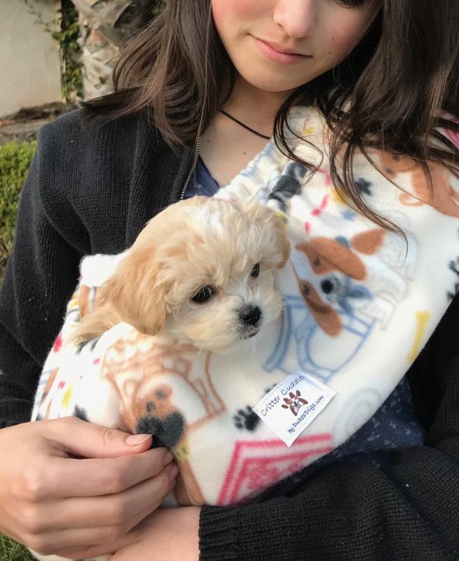 Gloda Insights: TikTok US 0 Week Small Animal Supplies Market Trend Analysis
