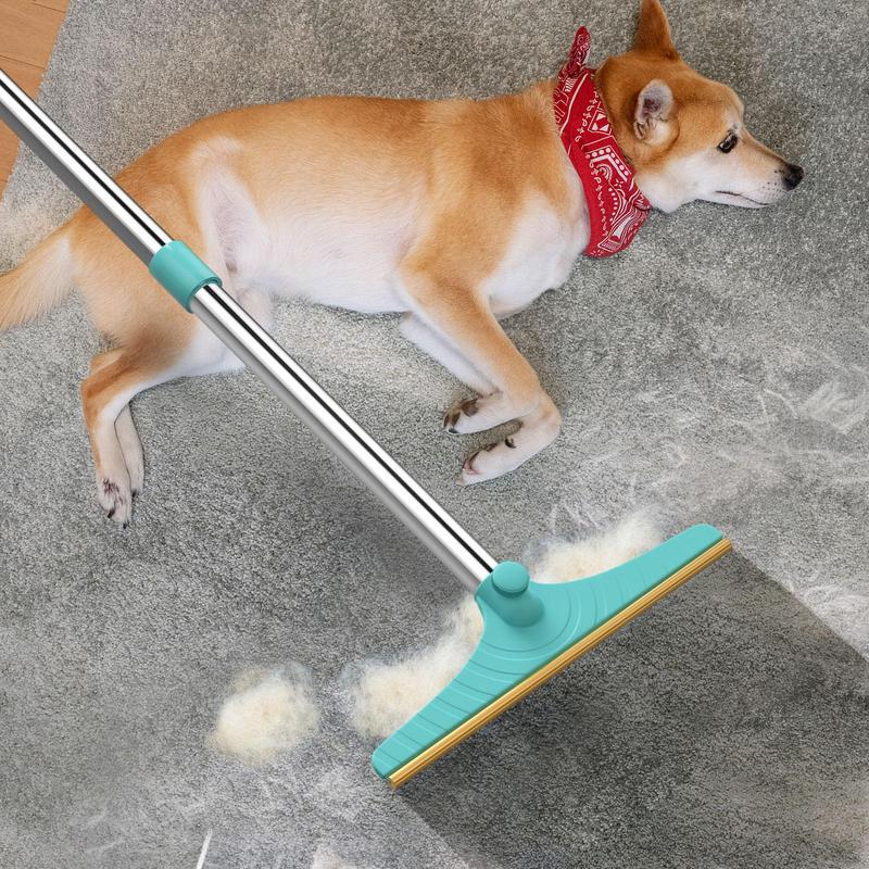 TikTok U.S. Dog & Cat Grooming Market Analysis