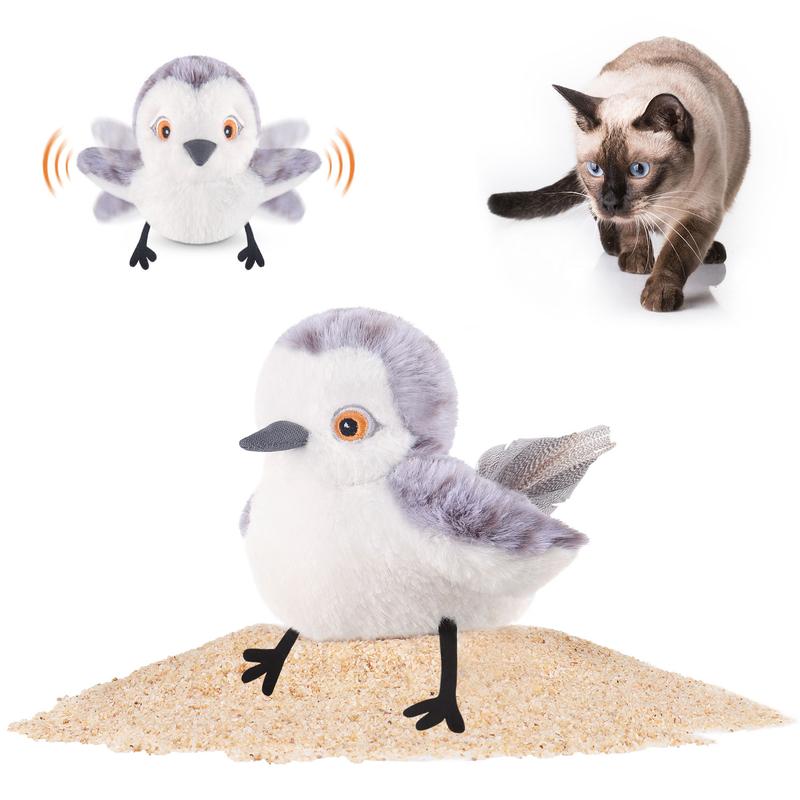 TikTok US Dog & Cat Accessories Market Analysis