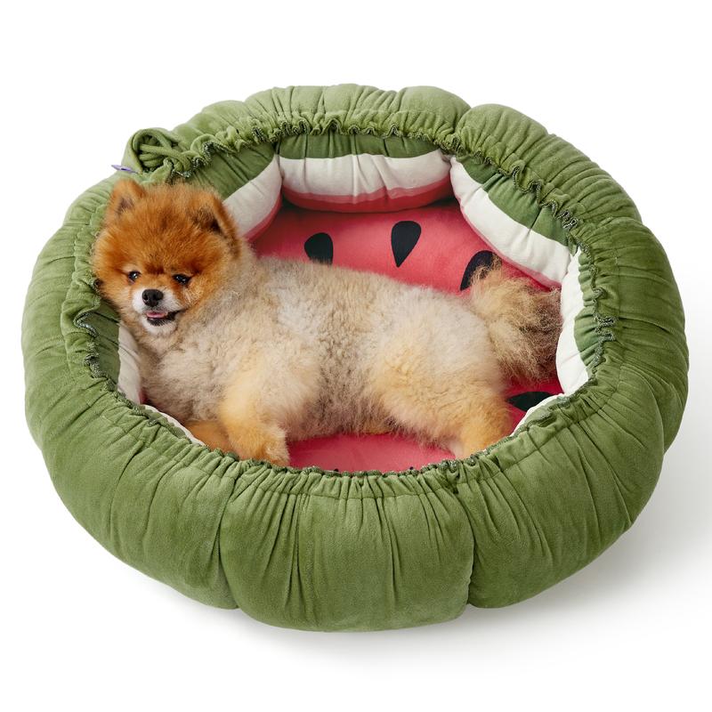 Gloda Insights: TikTok US 06 Week Dog & Cat Furniture Market Trend Analysis