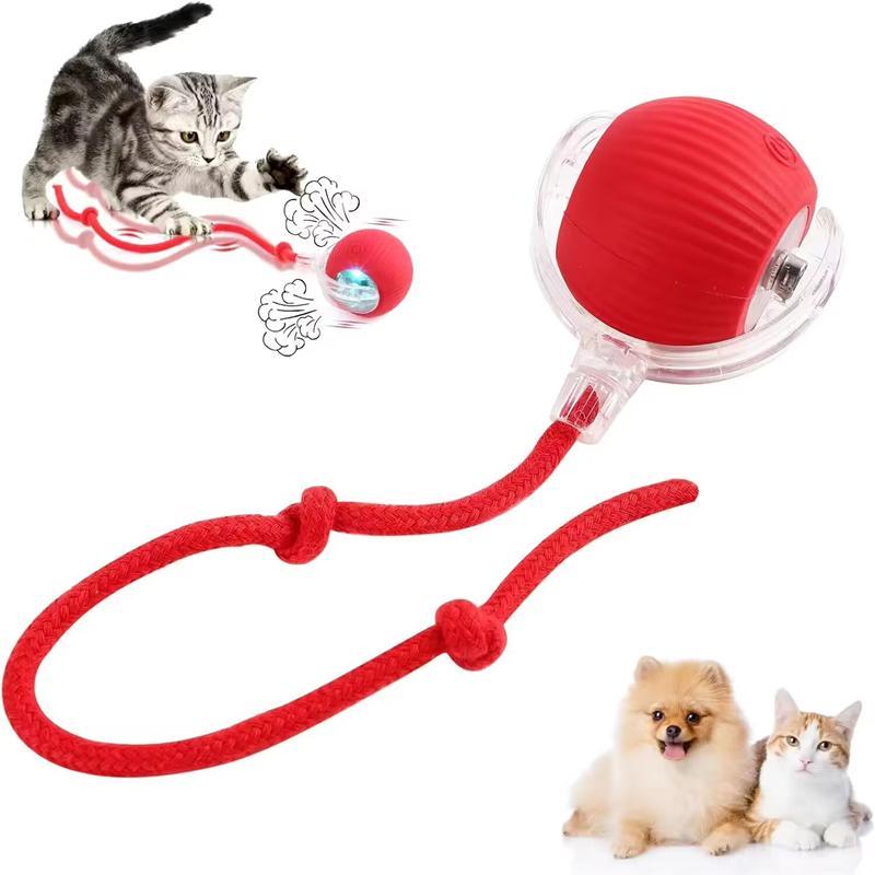 TikTok U.S. Dog & Cat Accessories Market Analysis