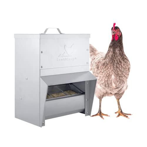 TikTok U.S. Farm Animal & Poultry Supplies Market Insights