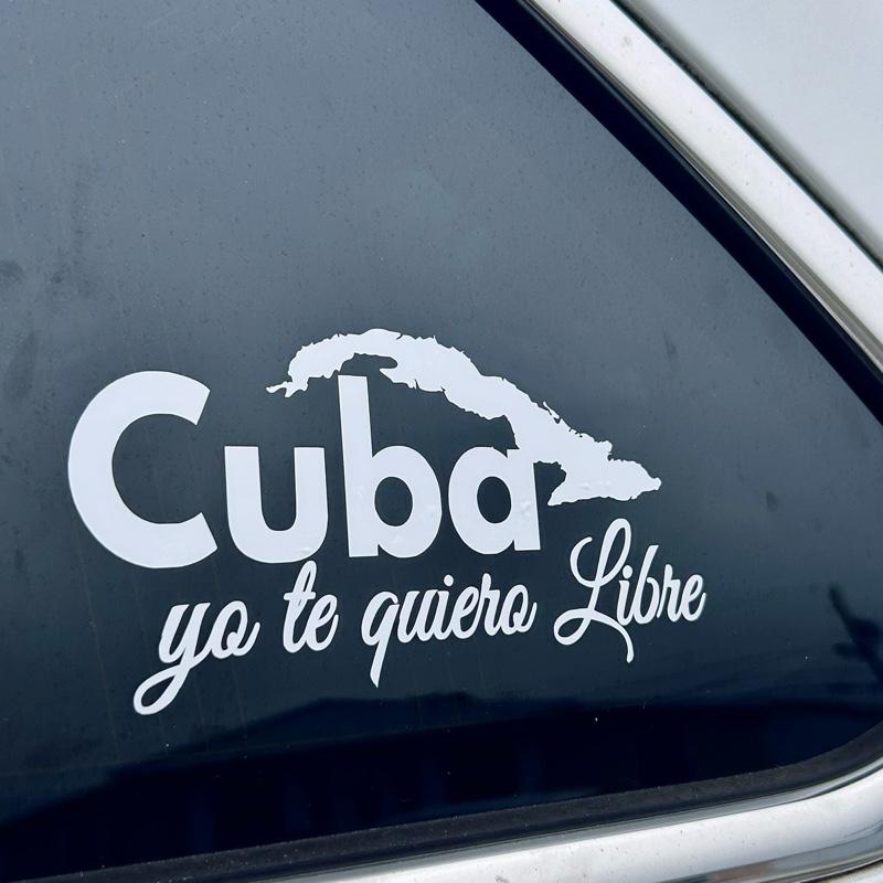 TikTok U.S. Car Exterior Accessories Market Insights